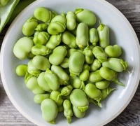 باقاله (یا باقالا) باقاله (یا باقالا)